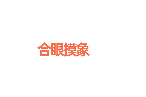 合眼摸象