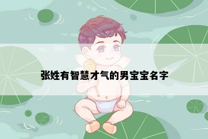 张姓有智慧才气的男宝宝名字