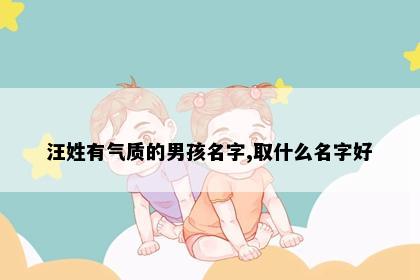 汪姓有气质的男孩名字,取什么名字好
