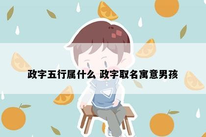 政字五行属什么 政字取名寓意男孩