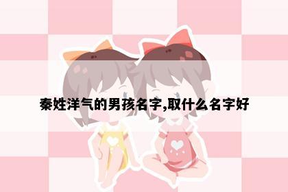 秦姓洋气的男孩名字,取什么名字好