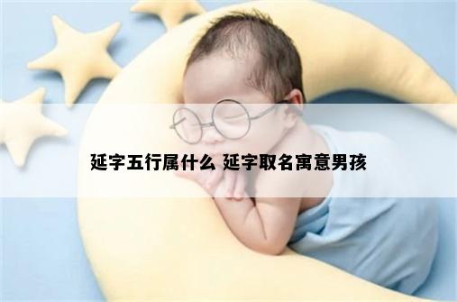 延字五行属什么 延字取名寓意男孩