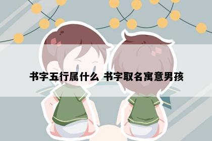 书字五行属什么 书字取名寓意男孩