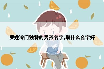 罗姓冷门独特的男孩名字,取什么名字好
