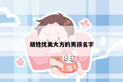 胡姓优美大方的男孩名字