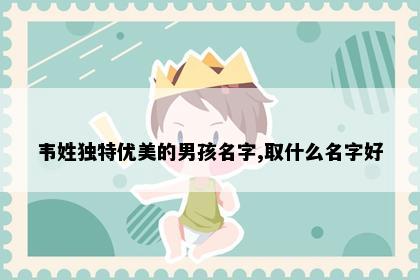韦姓独特优美的男孩名字,取什么名字好