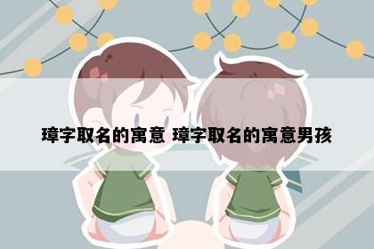 璋字取名的寓意 璋字取名的寓意男孩