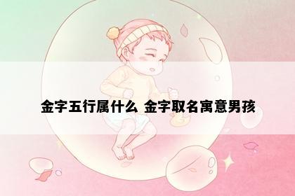金字五行属什么 金字取名寓意男孩